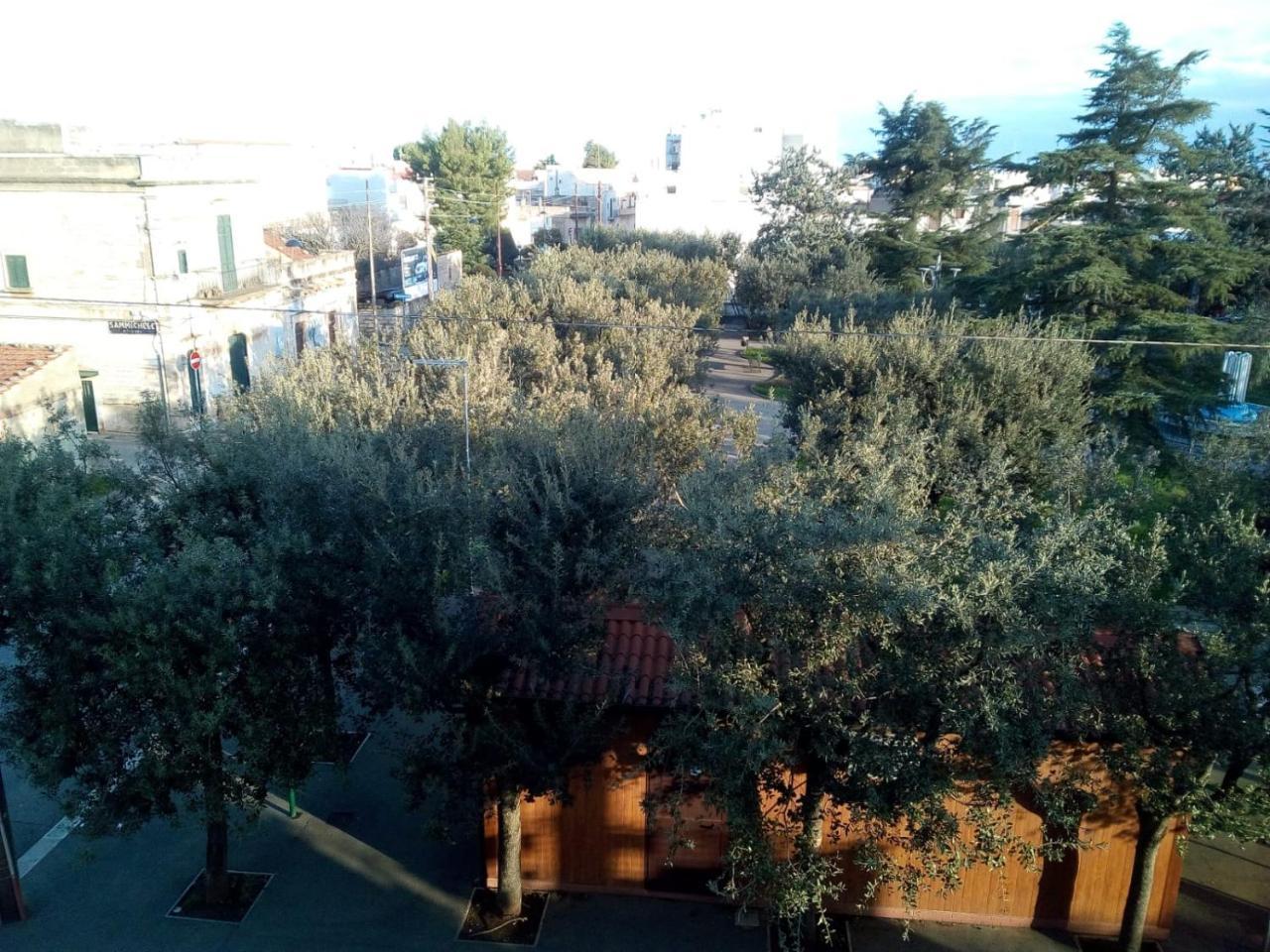 "La Casa Di Mariagrazia" Appartamento 4 Locali Sammichele Di Bari ภายนอก รูปภาพ